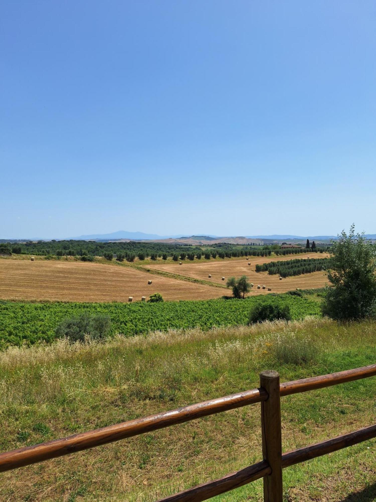 Casa Paola Nel Chianti Castelnuovo Berardenga Exterior foto